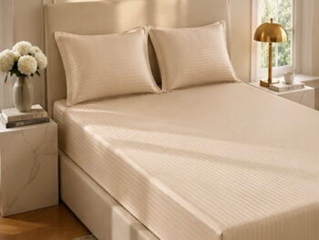 Ivory Champagne