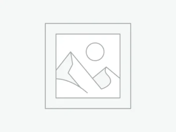 Embroidered Bedsheet
